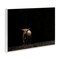 Stupell Industries Dark Contrast Highland Cow Wall Plaque Art Design by Nathan Larson